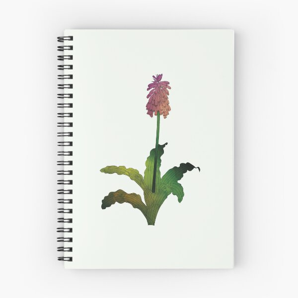 Aperçu de l'œuvre Veltheimia Capensis | Lily de sable créée et vendue par Wallpacas.