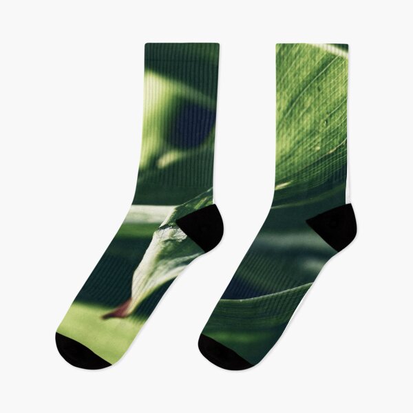 Item preview, Green Wall Art.Leaf and Drop. designed and sold by Mitko  Peroski.