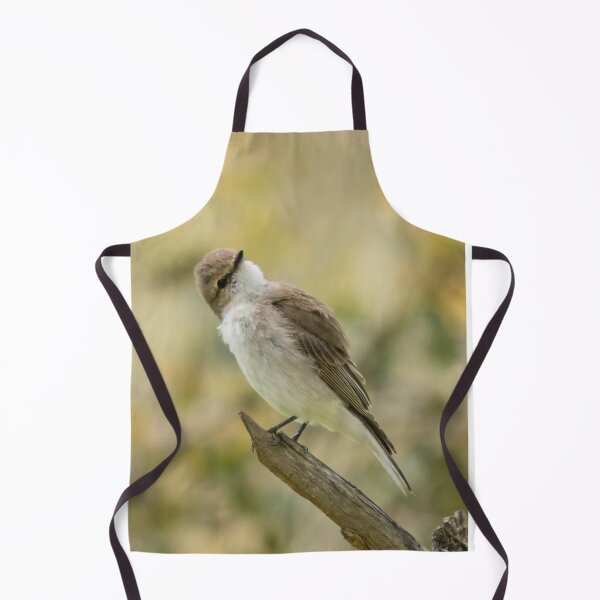 Item preview, Curious Jacky Winter designed and sold by Cornishinoz.