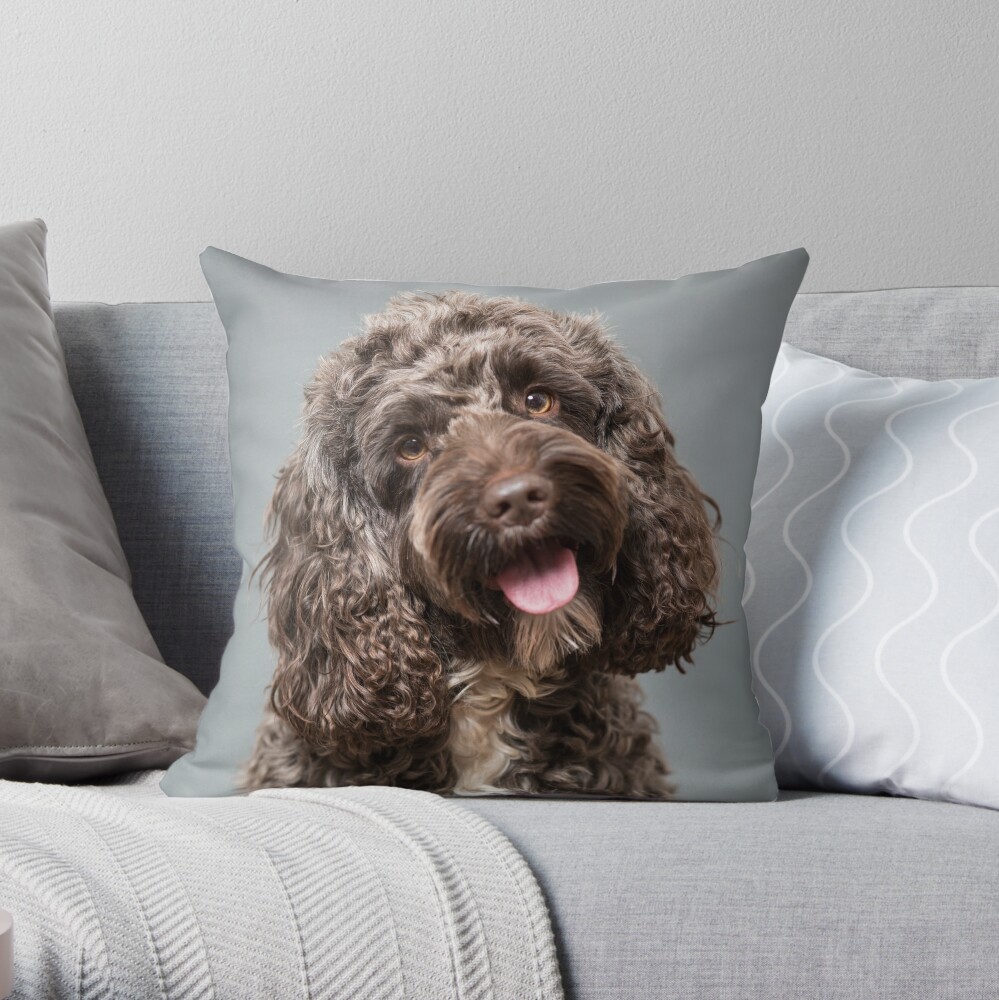 cockapoo pillow