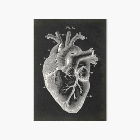Artikel-Vorschau von Schwarzes Herz, Anatomie-Plakat-Weinlesestil, designt und verkauft von LeAllureVintage.