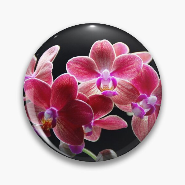 Item preview, Orchid Phalaenopsis designed and sold by NW-Photo-Art.