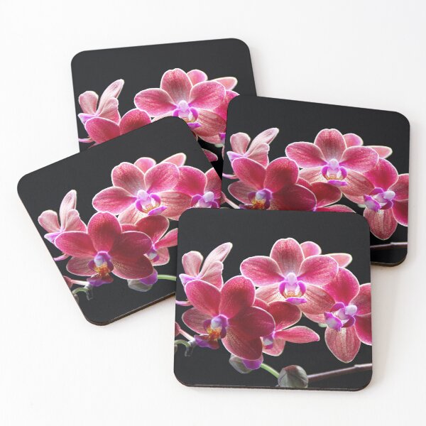 Item preview, Orchid Phalaenopsis designed and sold by NW-Photo-Art.