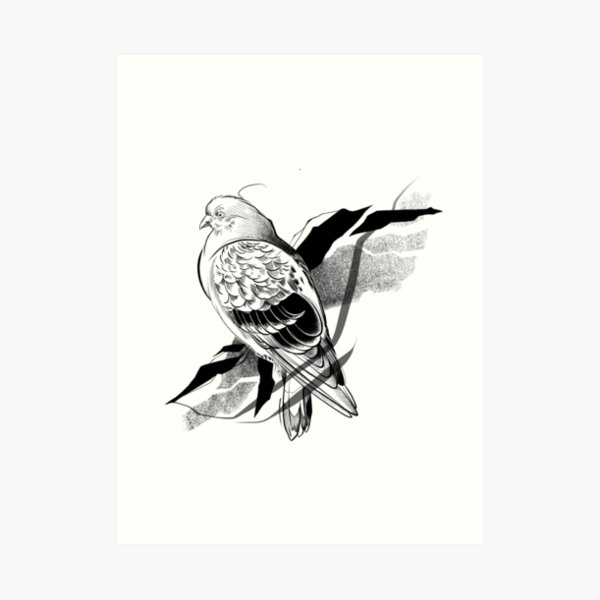 Pigeon I Art Print