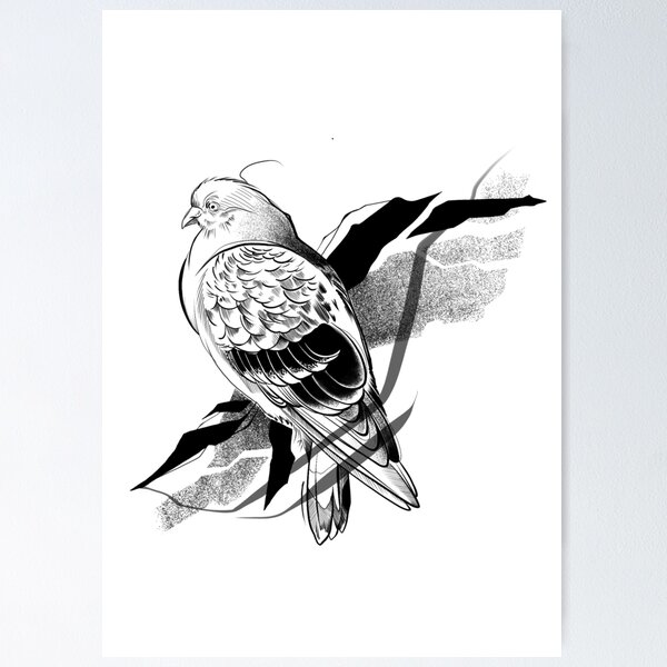 Pigeon I Poster