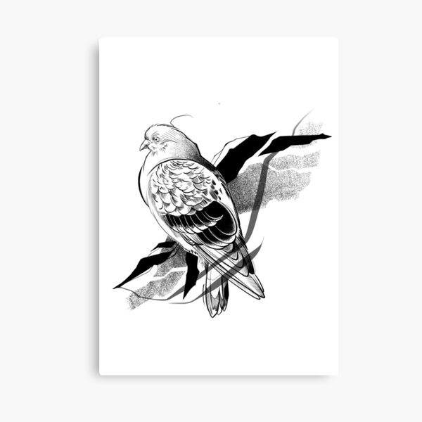 Pigeon I Canvas Print