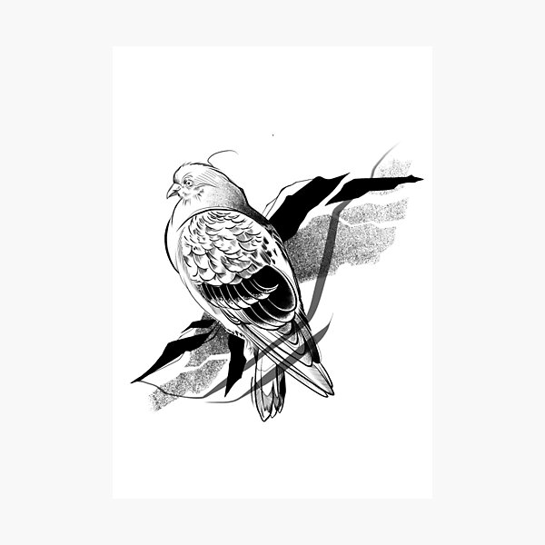 Pigeon I Photographic Print