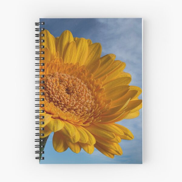 Item preview, summertime yellow gerbera and blue skys designed and sold by eddiej.