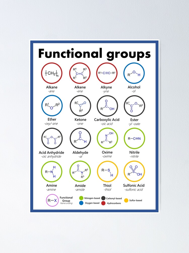 Functional Groups in Organic Chemistry