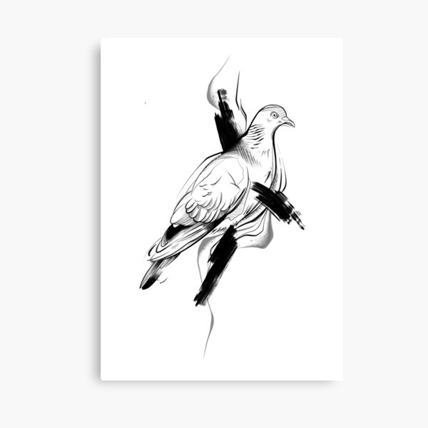 Pigeon II Canvas Print