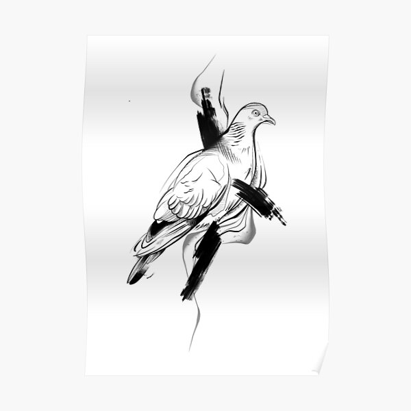 Pigeon II Poster