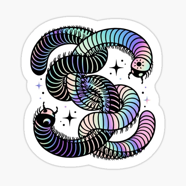Duality Millipedes - Rainbow Sticker