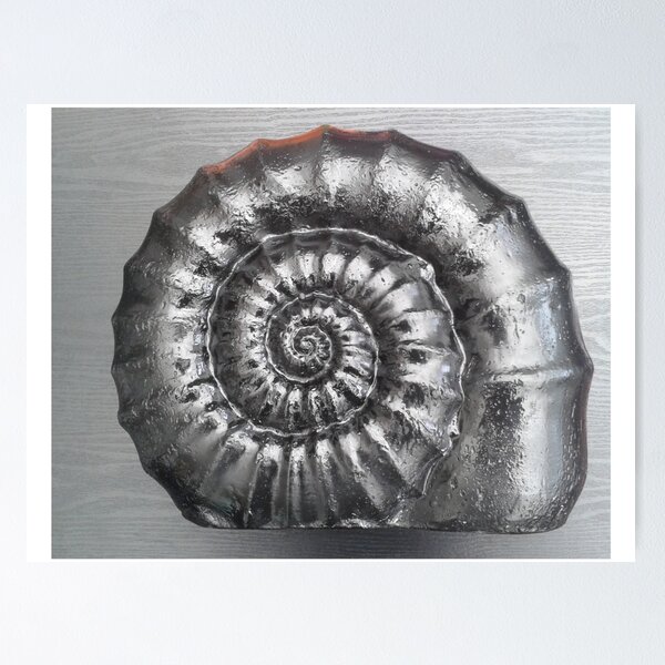 Item preview, Ammonite designed and sold by Aaran225.