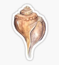 Whelk Sticker