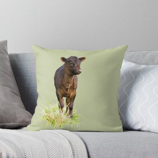 Item preview, Standing Dexter Cow designed and sold by Jane Stanley Photography.
