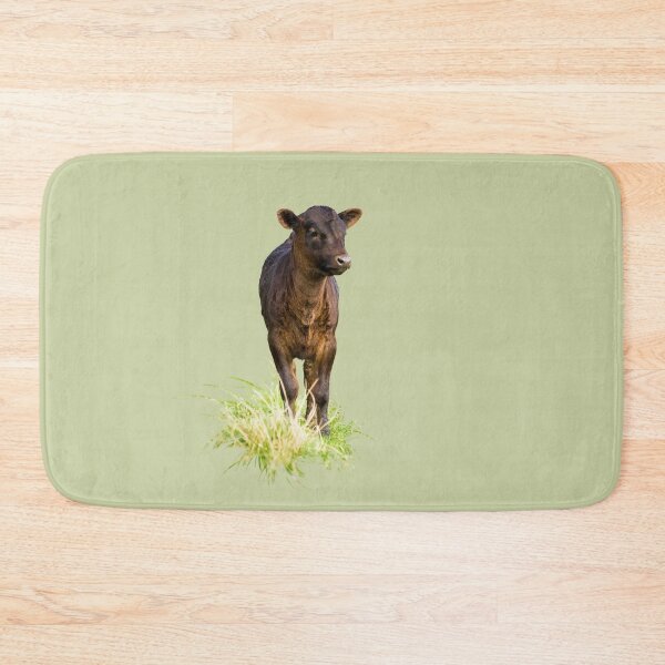 Item preview, Standing Dexter Cow designed and sold by Jane Stanley Photography.
