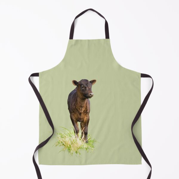 Item preview, Standing Dexter Cow designed and sold by Jane Stanley Photography.