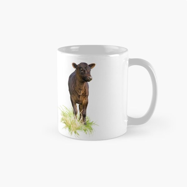 Item preview, Standing Dexter Cow designed and sold by Jane Stanley Photography.
