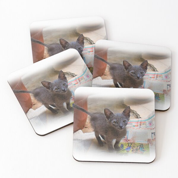 Item preview, Another Kitten Being Groomed For Adoption designed and sold by alabca.