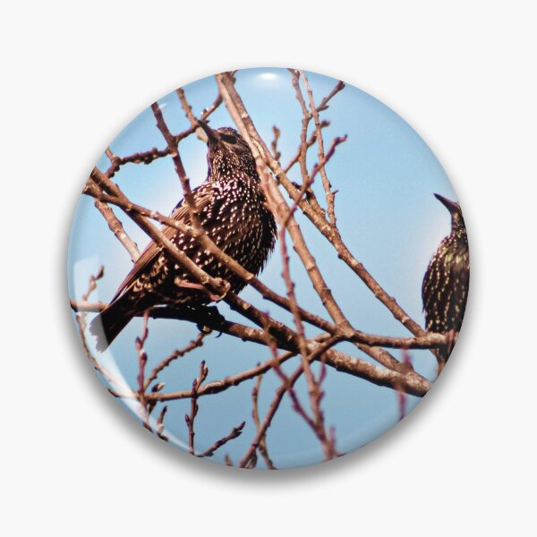 Item preview, Two Starling Birds designed and sold by Joel Woodward.