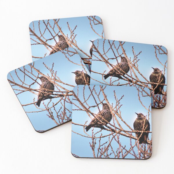 Item preview, Two Starling Birds designed and sold by Joel Woodward.