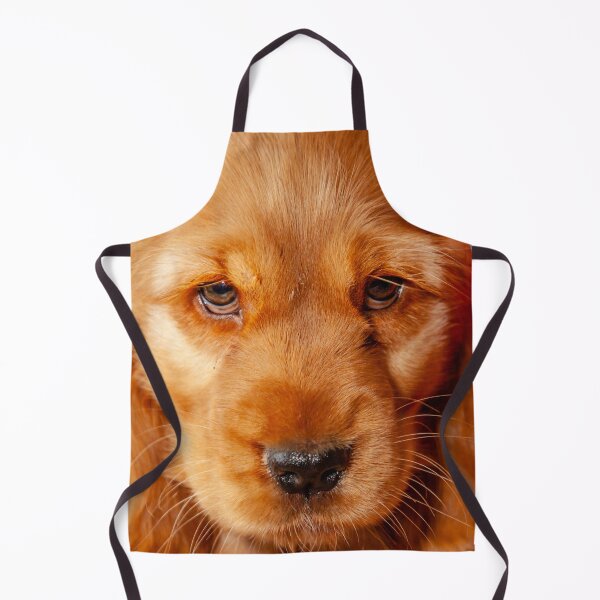 Item preview, Golden Cocker Spaniel puppy designed and sold by Dalyndigital Photography.