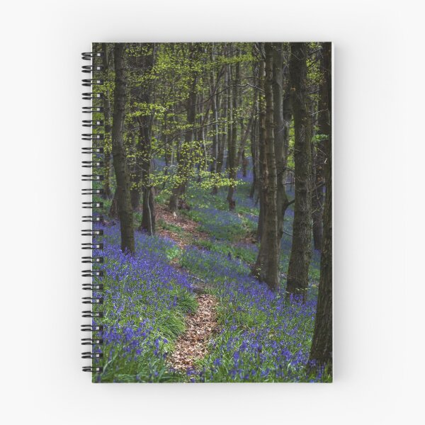 Item preview, Bluebell trail at Margam woods  designed and sold by Leighton Collins.
