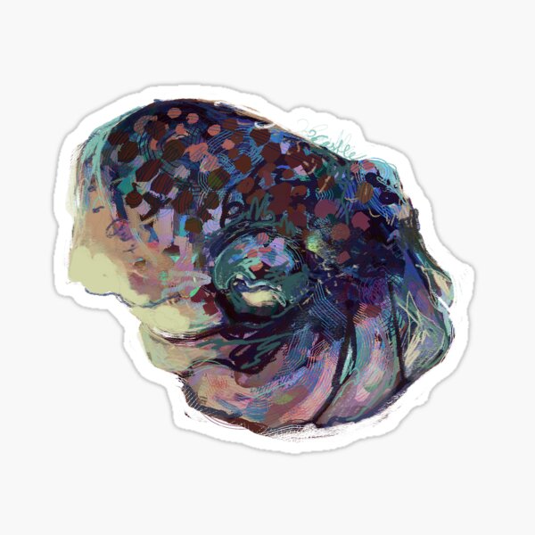 mille-feuille the bobtail squid Sticker