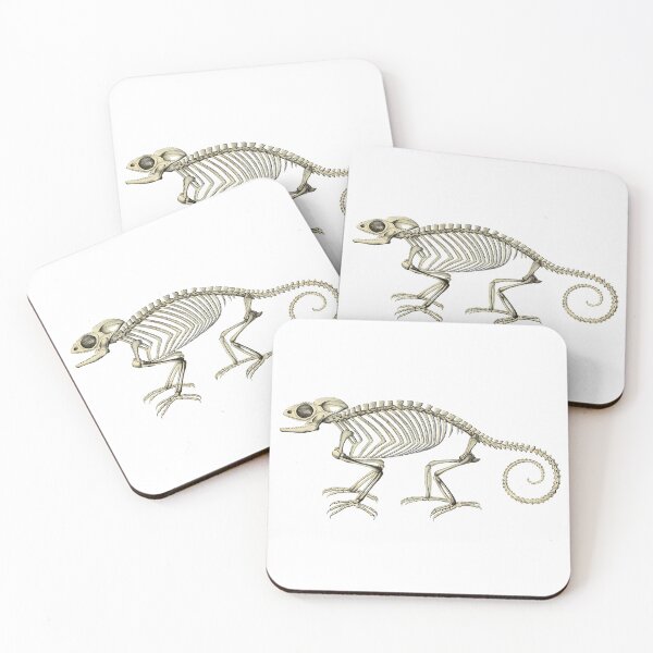 Item preview, Chameleon skeleton! designed and sold by Ecologos.