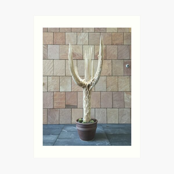 2016 Cactus Skelleton Art Print
