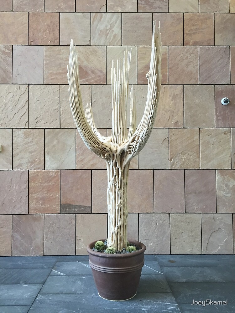 2016 Cactus Skelleton by JoeySkamel