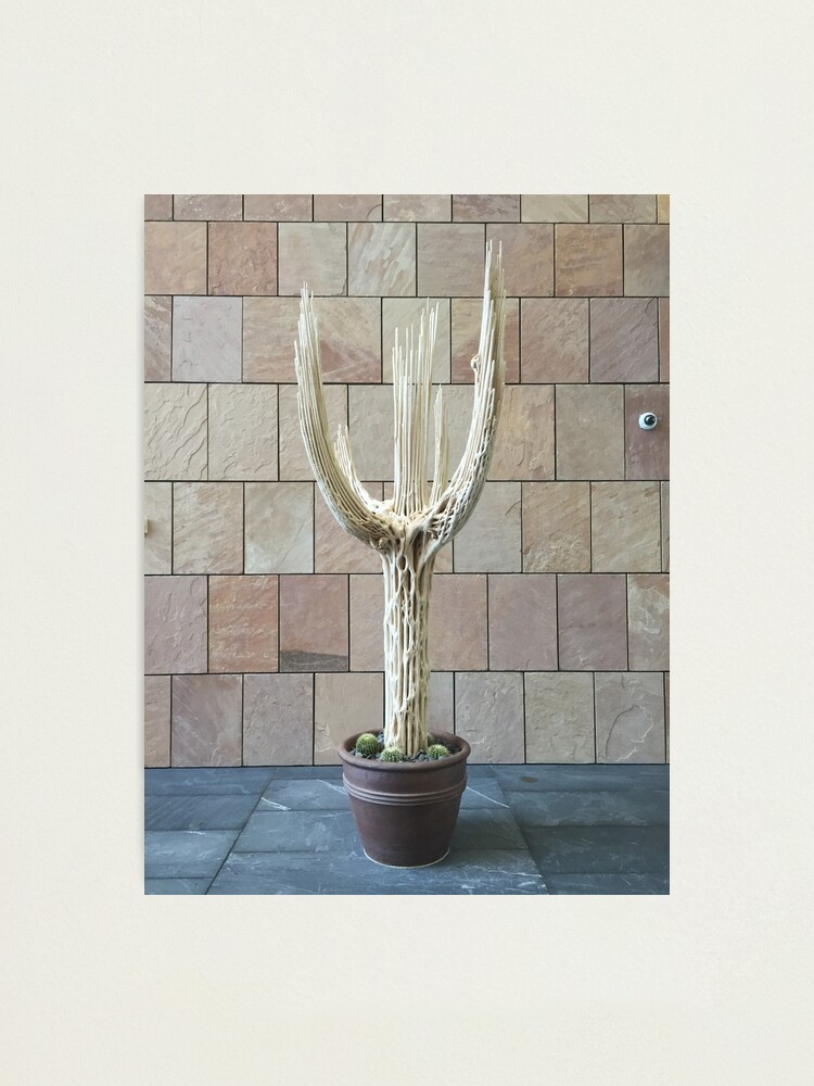 Alternate view of 2016 Cactus Skelleton Photographic Print