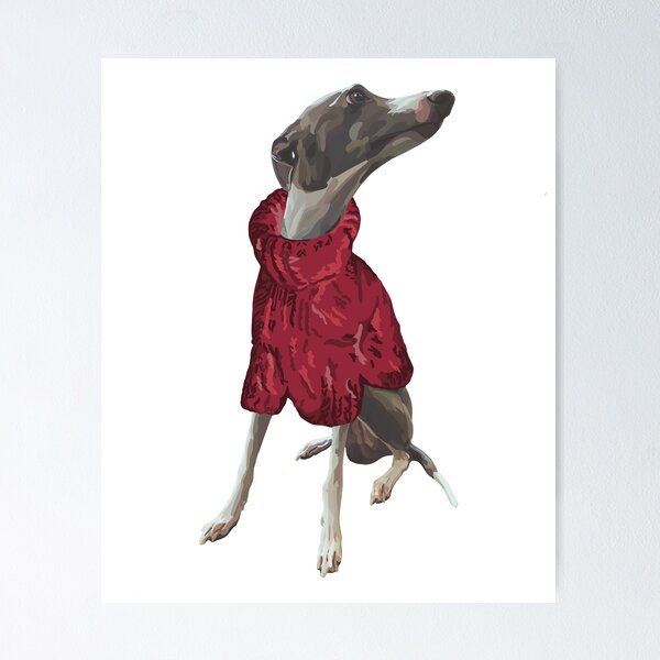 Item preview, A handsome grey italian greyhound named Luca in a knitted red polo neck jumper jersey  designed and sold by Fruit-Tee.