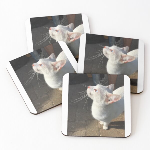 Item preview, Gorgeous white cat designed and sold by Charley-Photo.