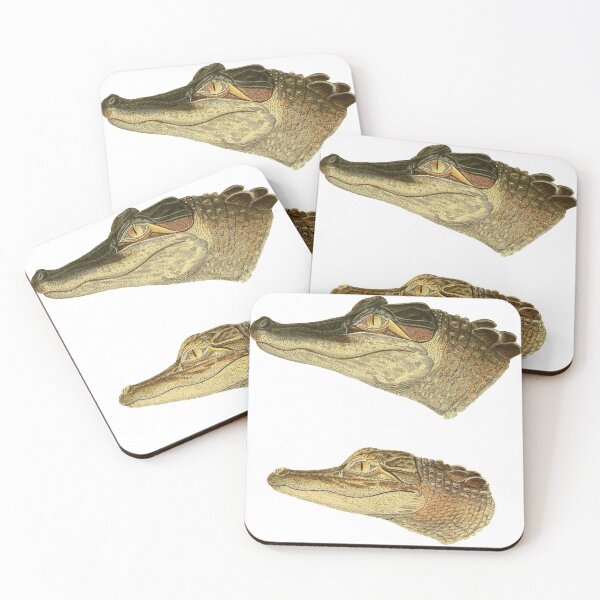 Item preview, Caimans! designed and sold by Ecologos.
