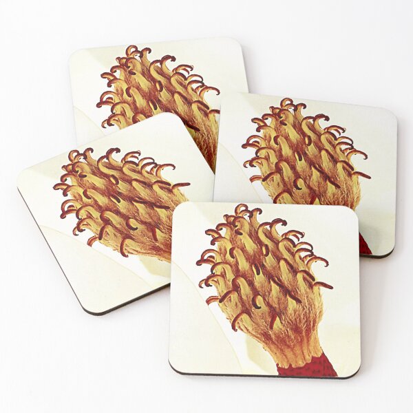 Item preview, Magnolia Jewels #21 designed and sold by Jean Gregory Evans.