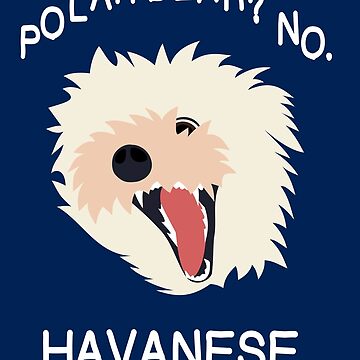 Artwork thumbnail, Polar bear? No. HAVANESE. by claycr4ne