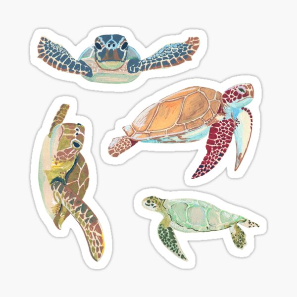 Tortues de mer Sticker