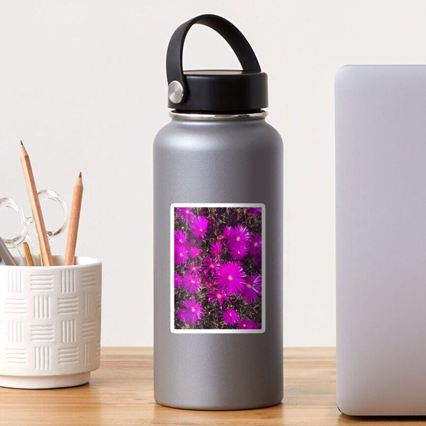 Purple Explosion Sticker