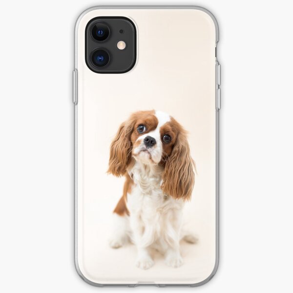 Cavalier King Charles Spaniel blenheim iPhone Soft Case