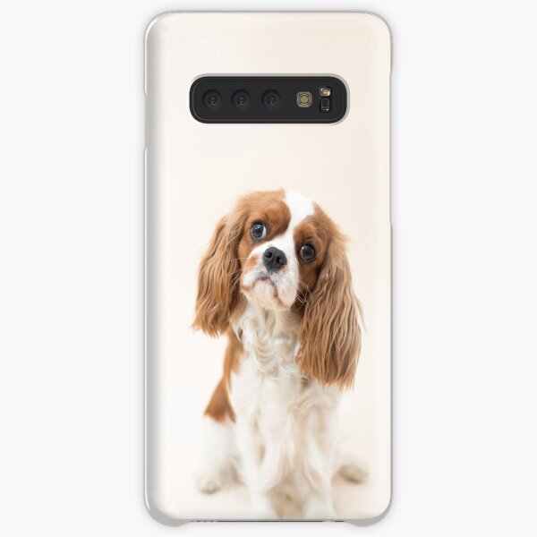 Cavalier King Charles Spaniel blenheim Samsung Galaxy Snap Case