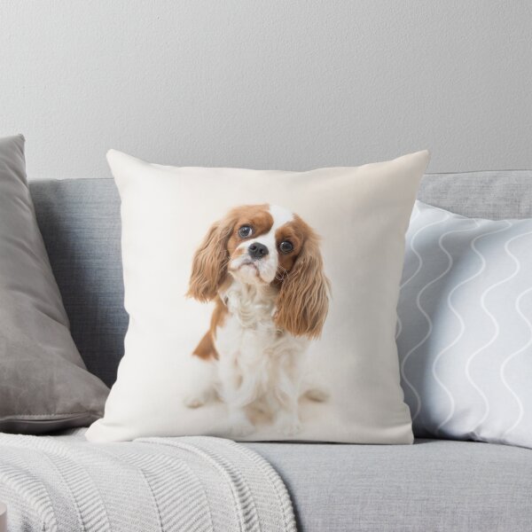 Item preview, Cavalier King Charles Spaniel blenheim designed and sold by Penel.