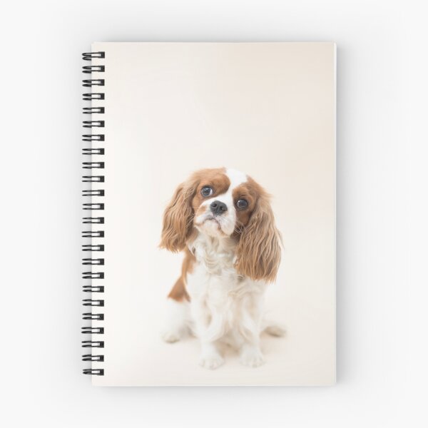 Item preview, Cavalier King Charles Spaniel blenheim designed and sold by Penel.
