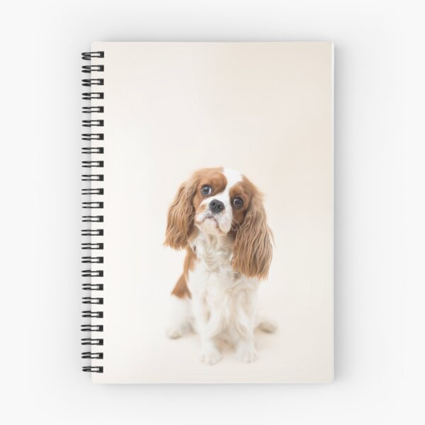 Item preview, Cavalier King Charles Spaniel blenheim designed and sold by Penel.