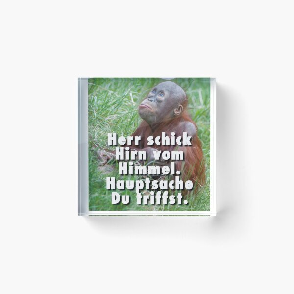 Item preview, Lord send brains from heaven. The main thing is that you meet. designed and sold by Ingo Gerlach.