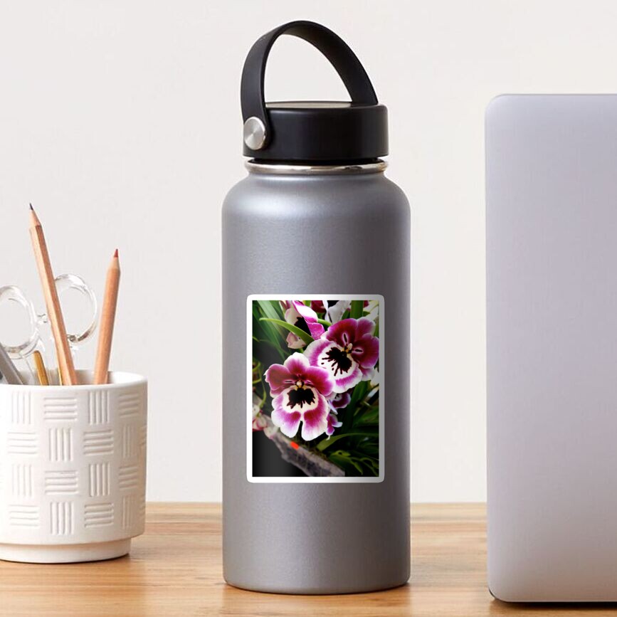 Orchids Sticker