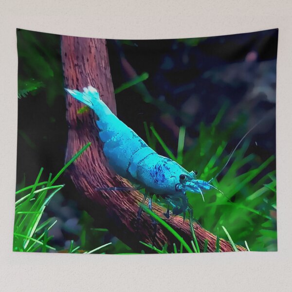 Item preview, Bluebolt Shrimp designed and sold by GFishy.