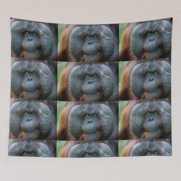 Item preview, The face of the old orangutan designed and sold by Ingo Gerlach.