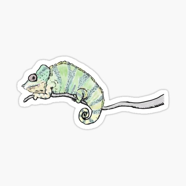 The Chameleon Sticker