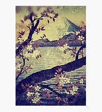 Templing at Hanuii Photographic Print